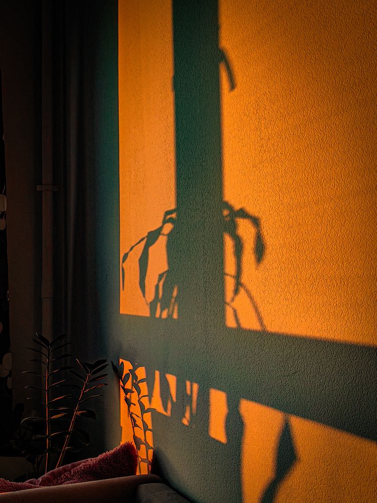 Photograph by Наталия Космынина