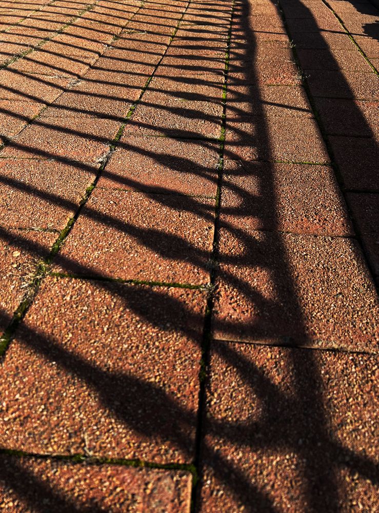 Photograph by Елена Гоосен