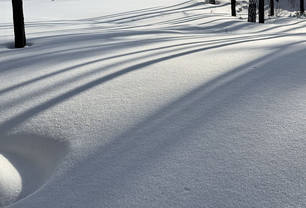 Тени на снегу