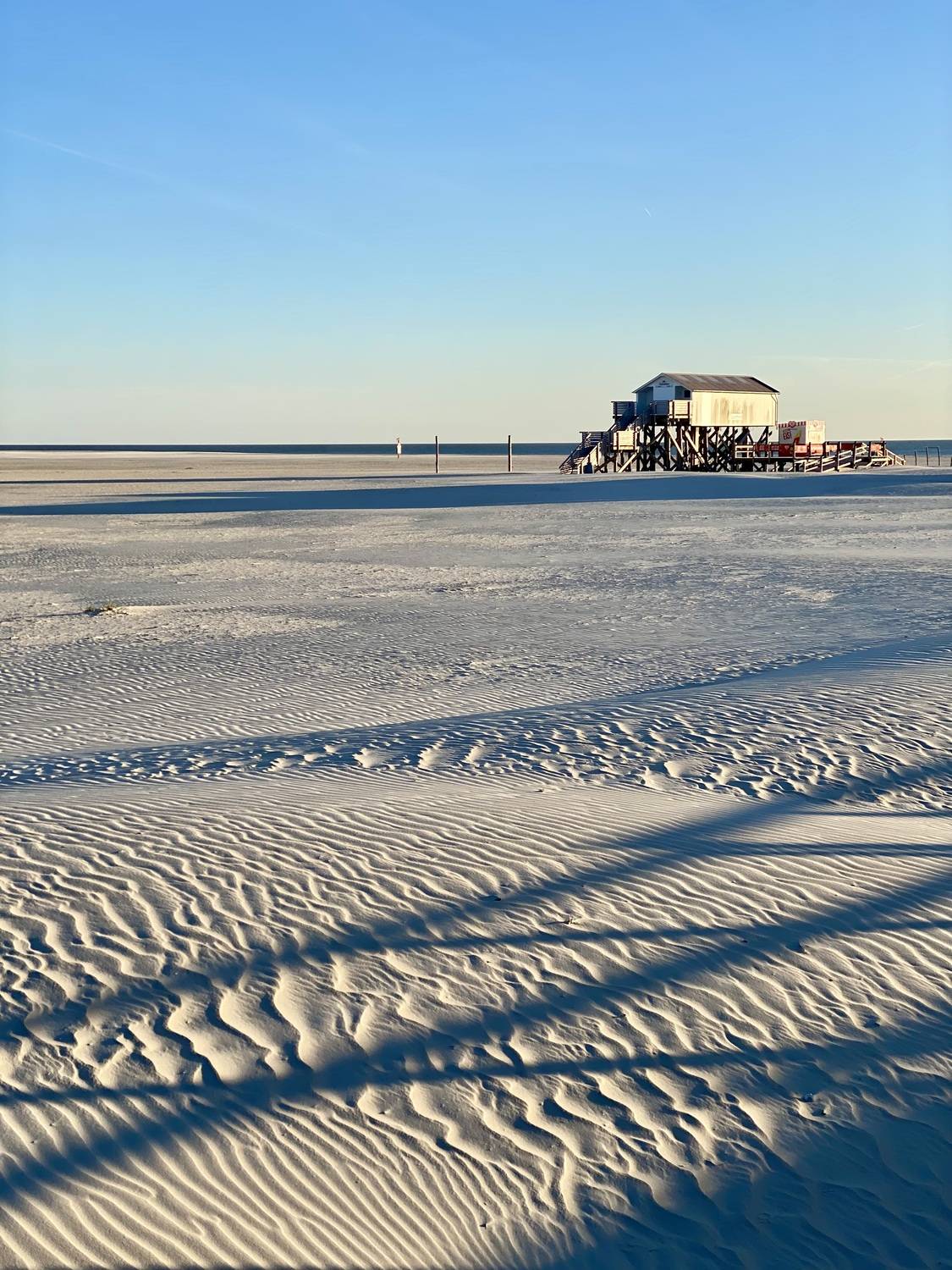 Фотография #13468925