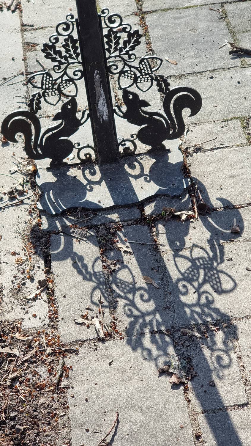 Фотография #13469044