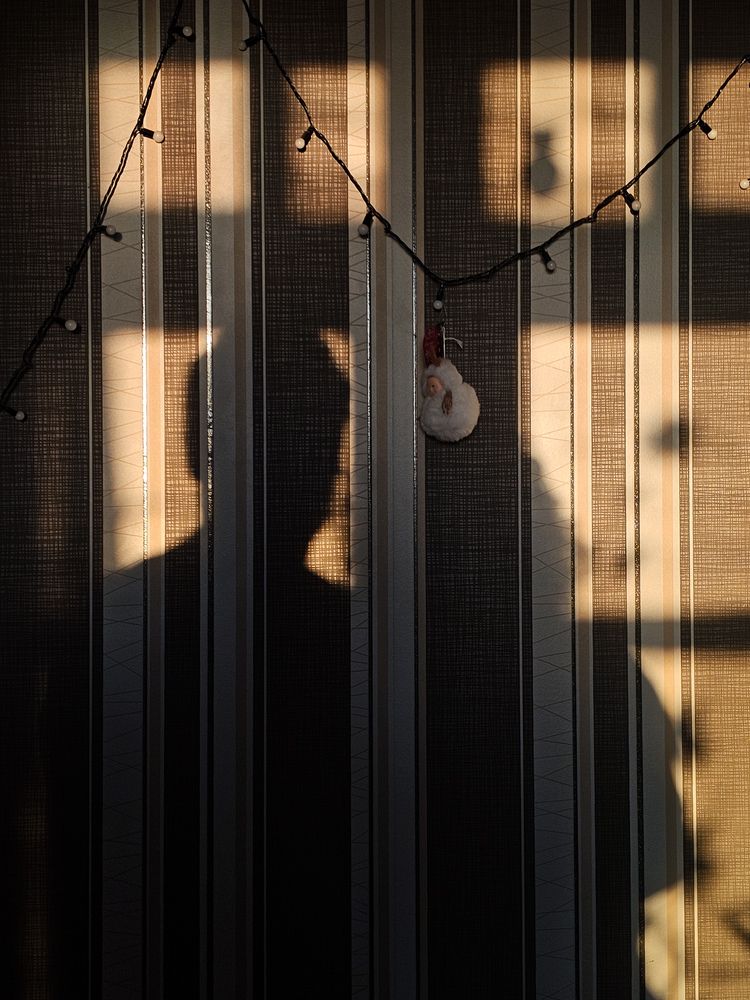Photograph by Alexandra Pîntea