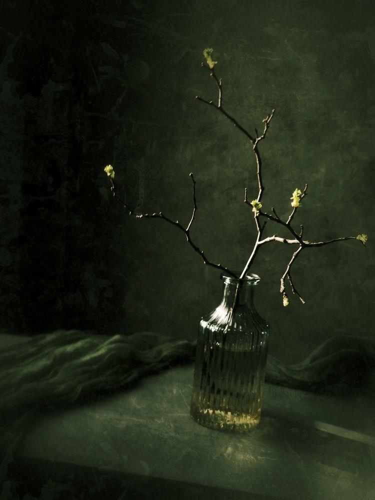 Photograph by Олеся Хижко