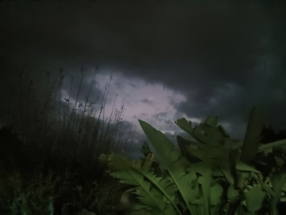 Photo #13469102