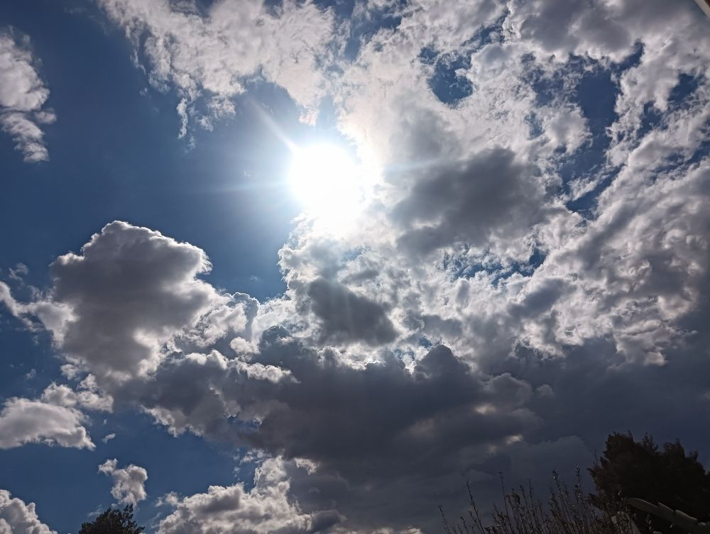 Photo #13469114