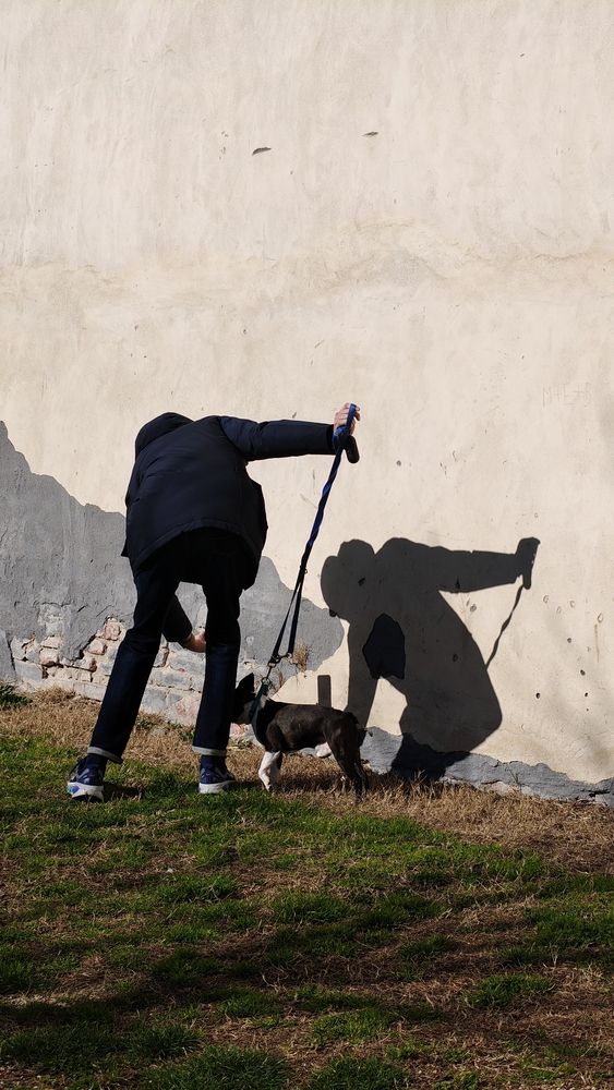 Photo #13469117