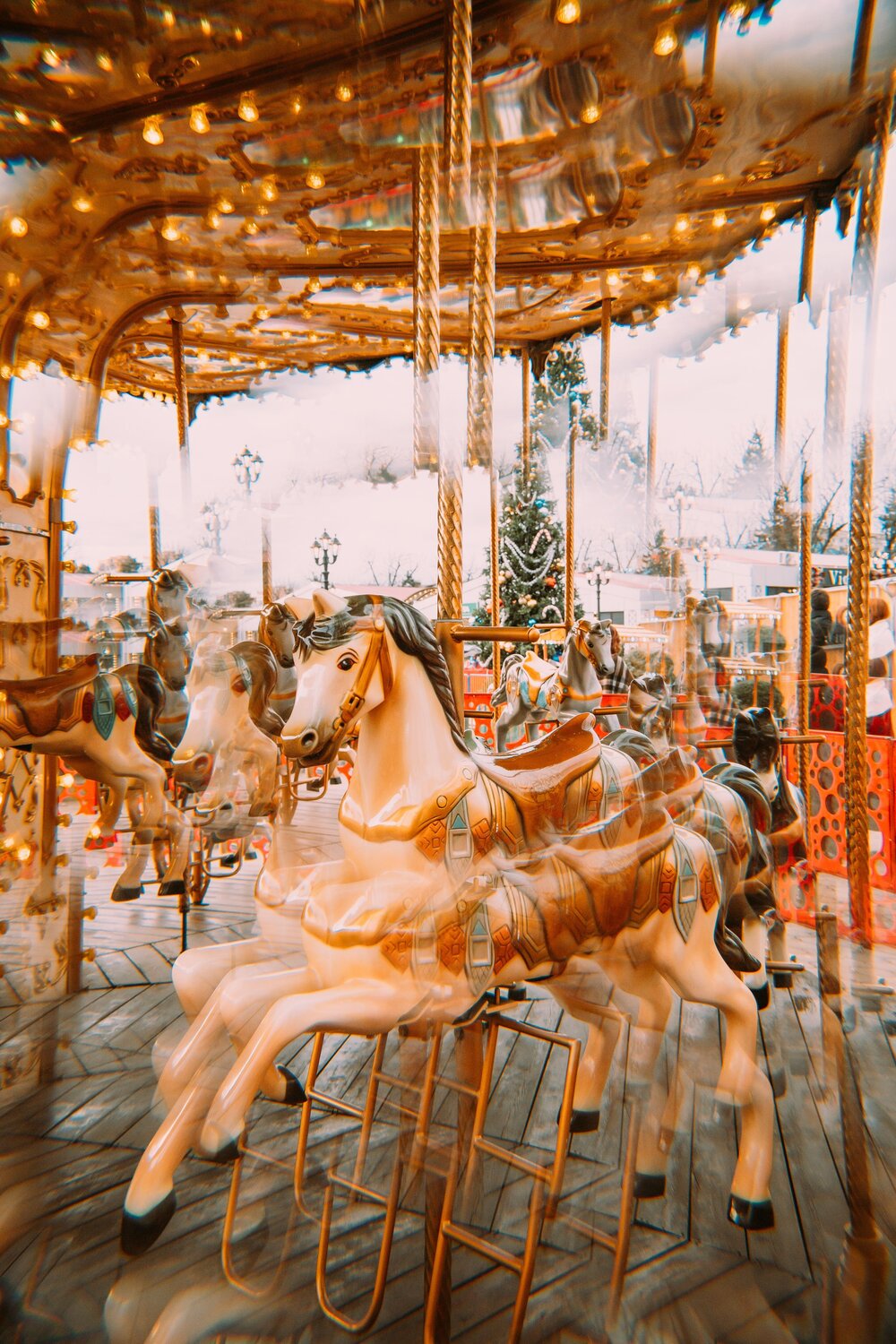 Photo #13469149