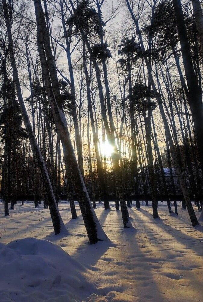 Photograph by Владимир Малёшин