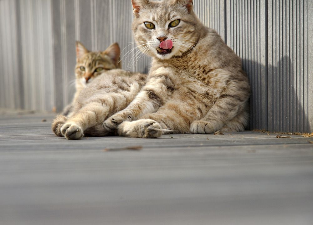 Photograph by Bekir Yesiltas