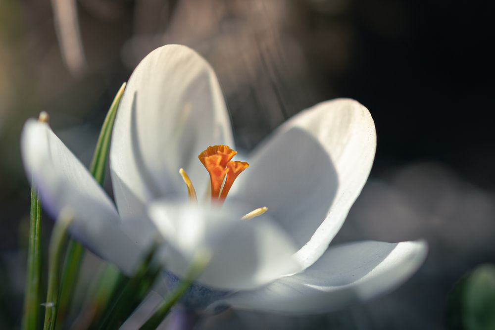 Photograph by Larysa Pinner