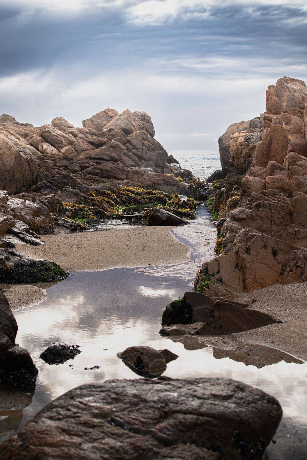 Между камнями и небом