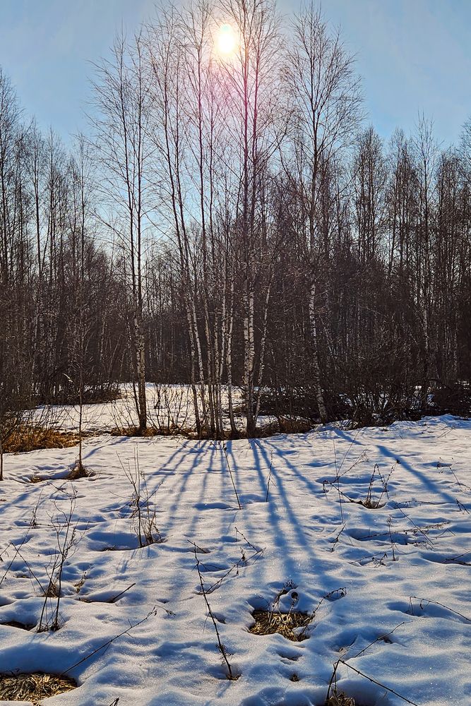 Фотография автора Михаил Медведев