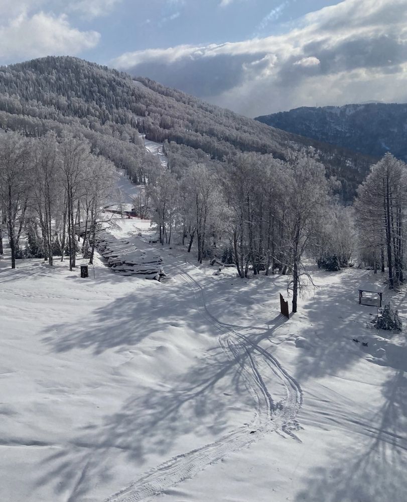 Photograph by Галина Шиманцова