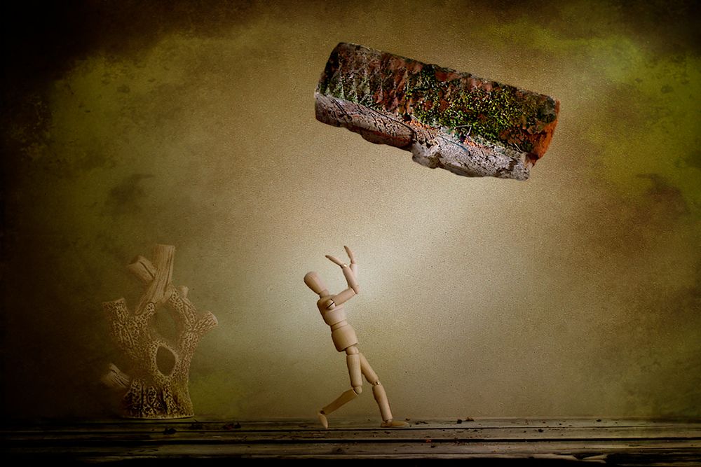 Photograph by Елизавета Шавардина