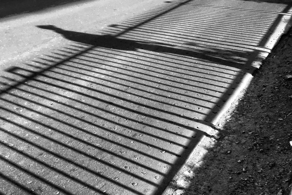 Фотография автора Kaushik Dolui