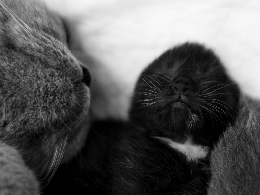 Photograph by Maria Zinatulina