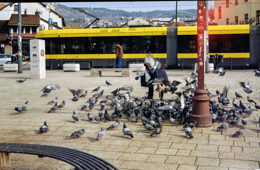 Фотография автора Ruslan Badykov