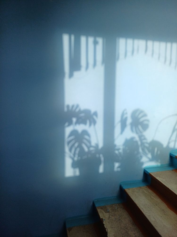 Photograph by Ангелина Афанасьева
