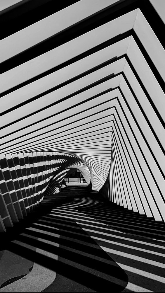 Photograph by Steffi Orduz