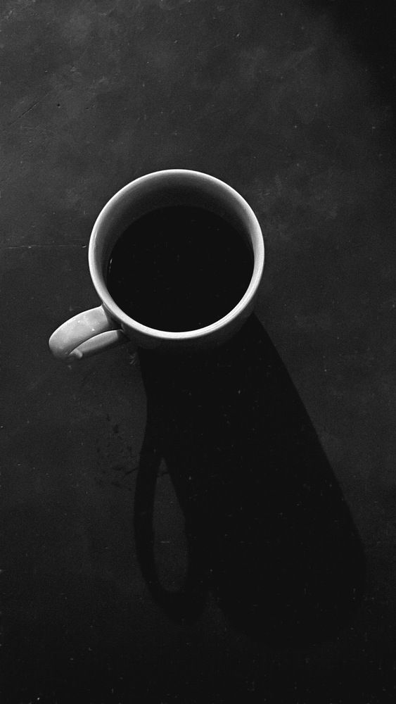 Photograph by U Rasta G Bandaragoda