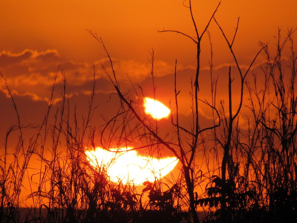 Photograph by ADERLANDIA SALOMAO