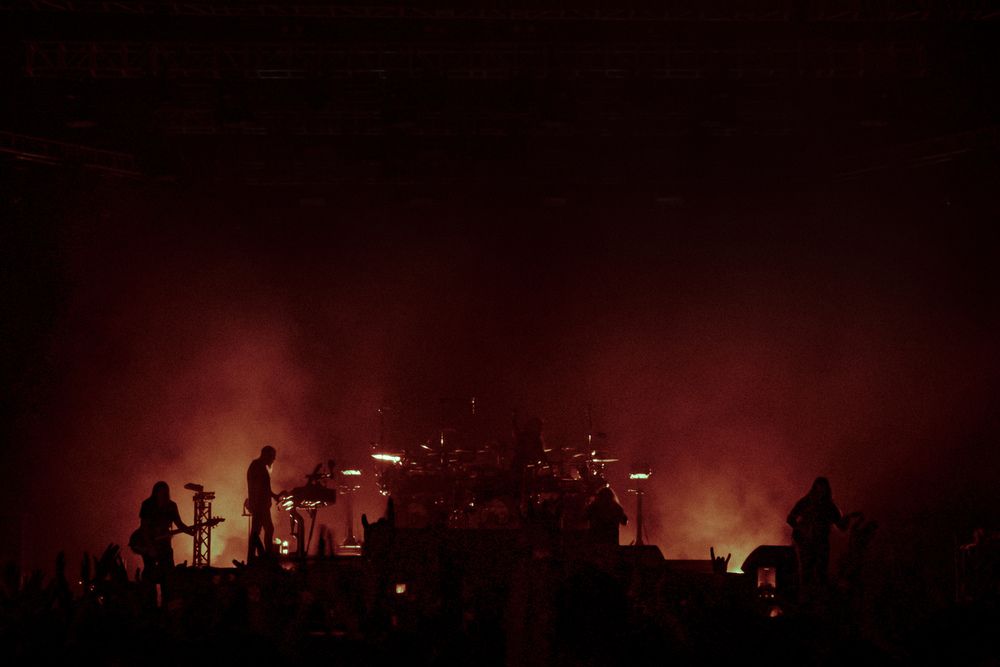 Photograph by U Rasta G Bandaragoda