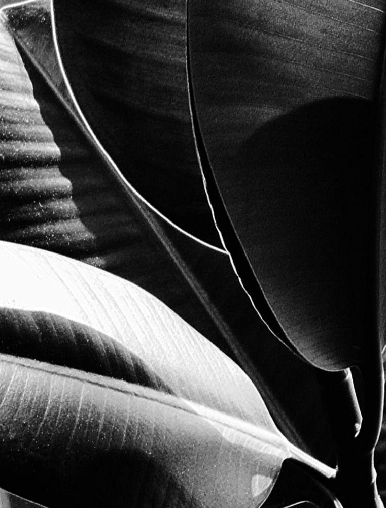 Photograph by Елена Эйнова