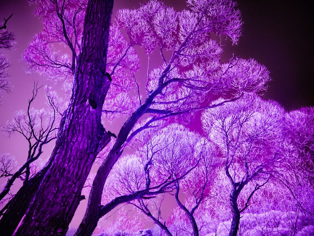 Photograph by Виктор