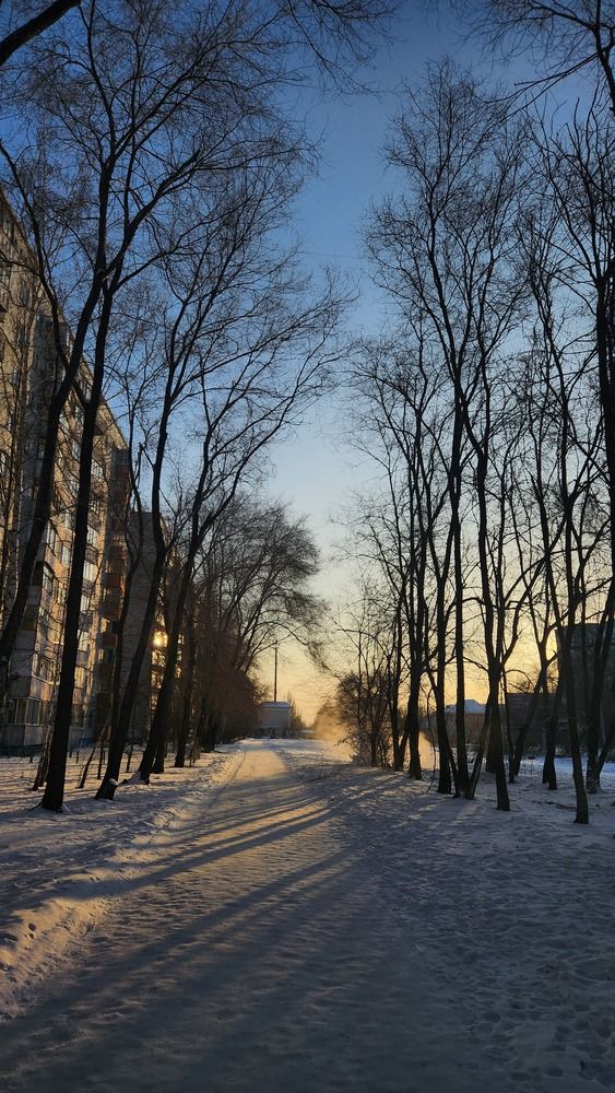 Photograph by Светлана Голик