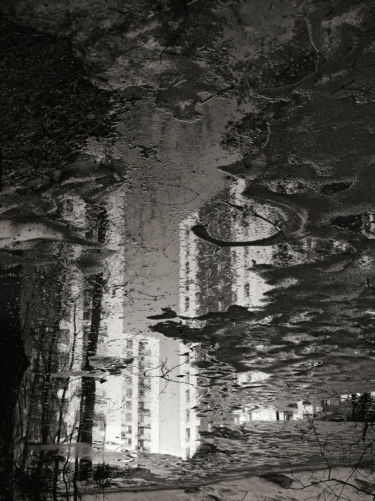 Photograph by Ольга Репина