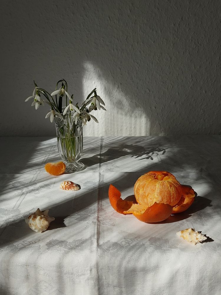 Photograph by Natalia Beidel