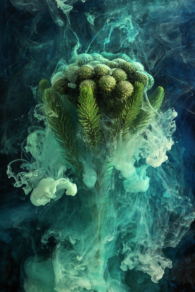 Photograph by Ivanova Inga
