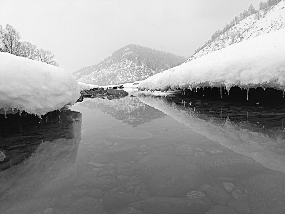 Photograph by Александр Прядко