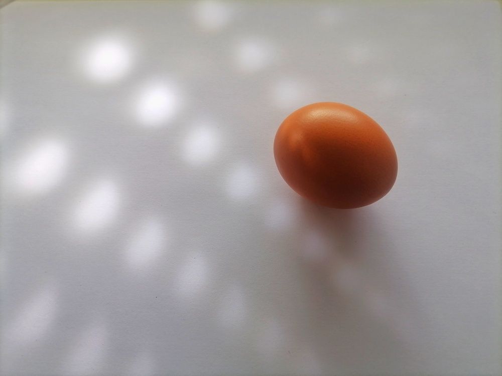 Photograph by Светлана Галаян