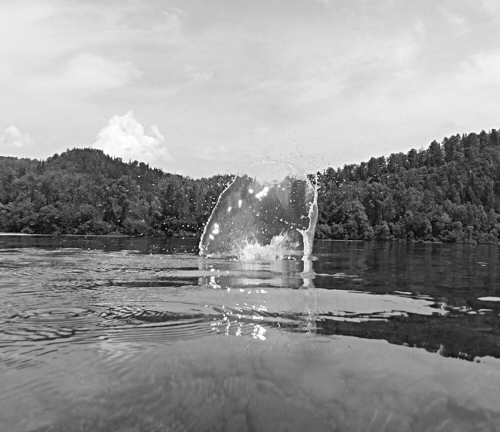 Photograph by Александр Прядко