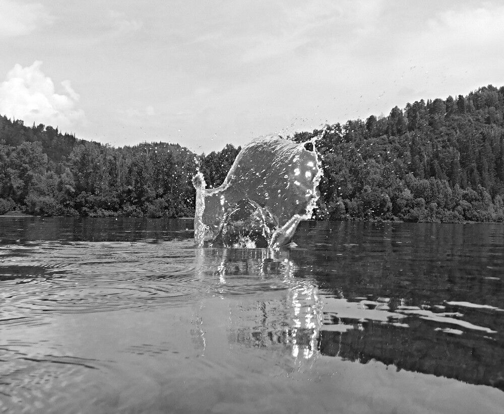 Photograph by Александр Прядко