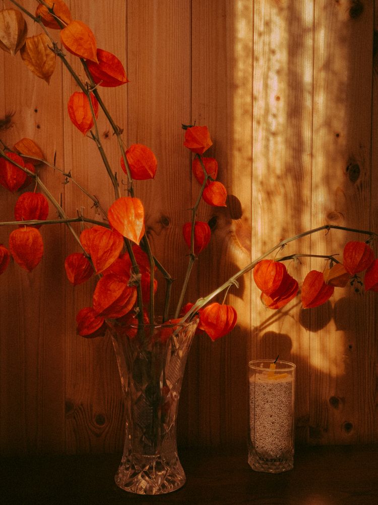 Photograph by Кристина Иванова