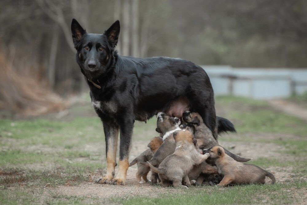 Photograph by Зубкова Юлия