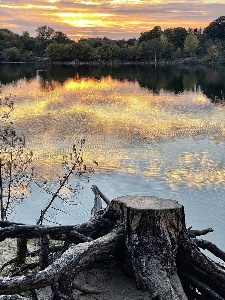 Photograph by Nadezhda