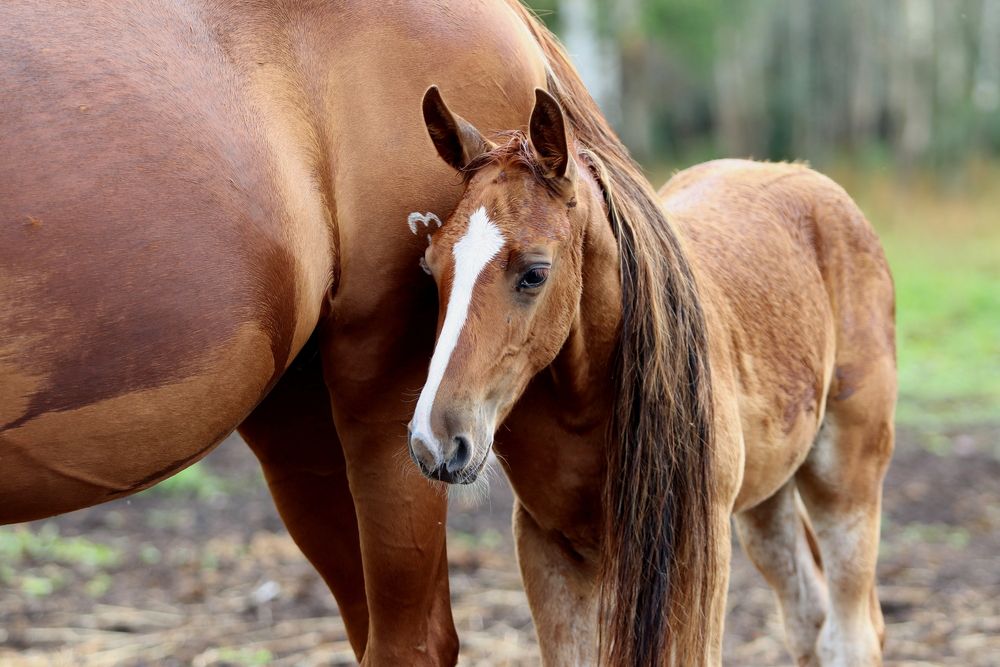 Photograph by Галина Волкова