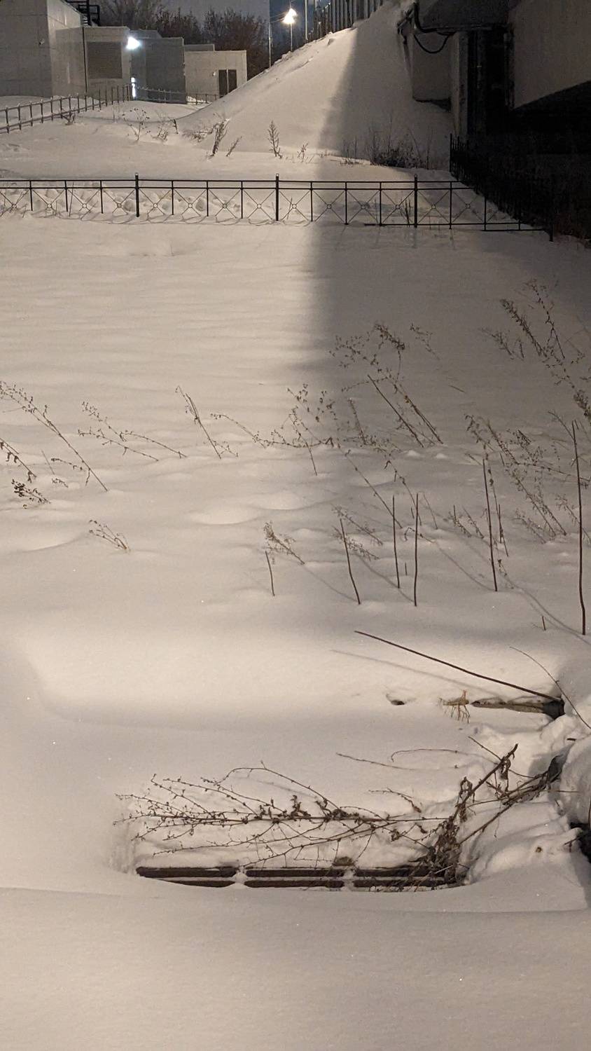 Photo #13470935