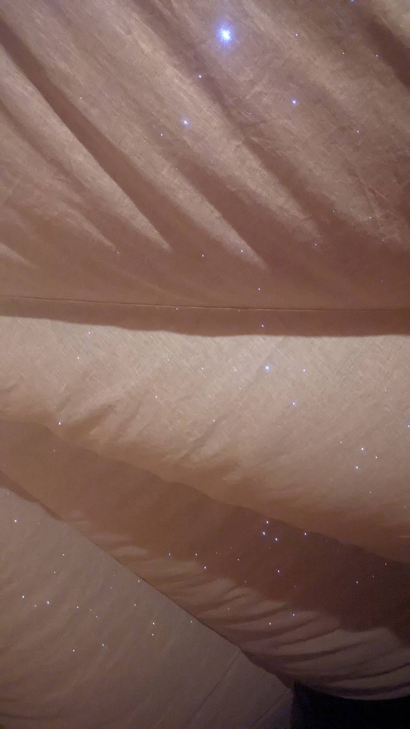 Photo #13470946