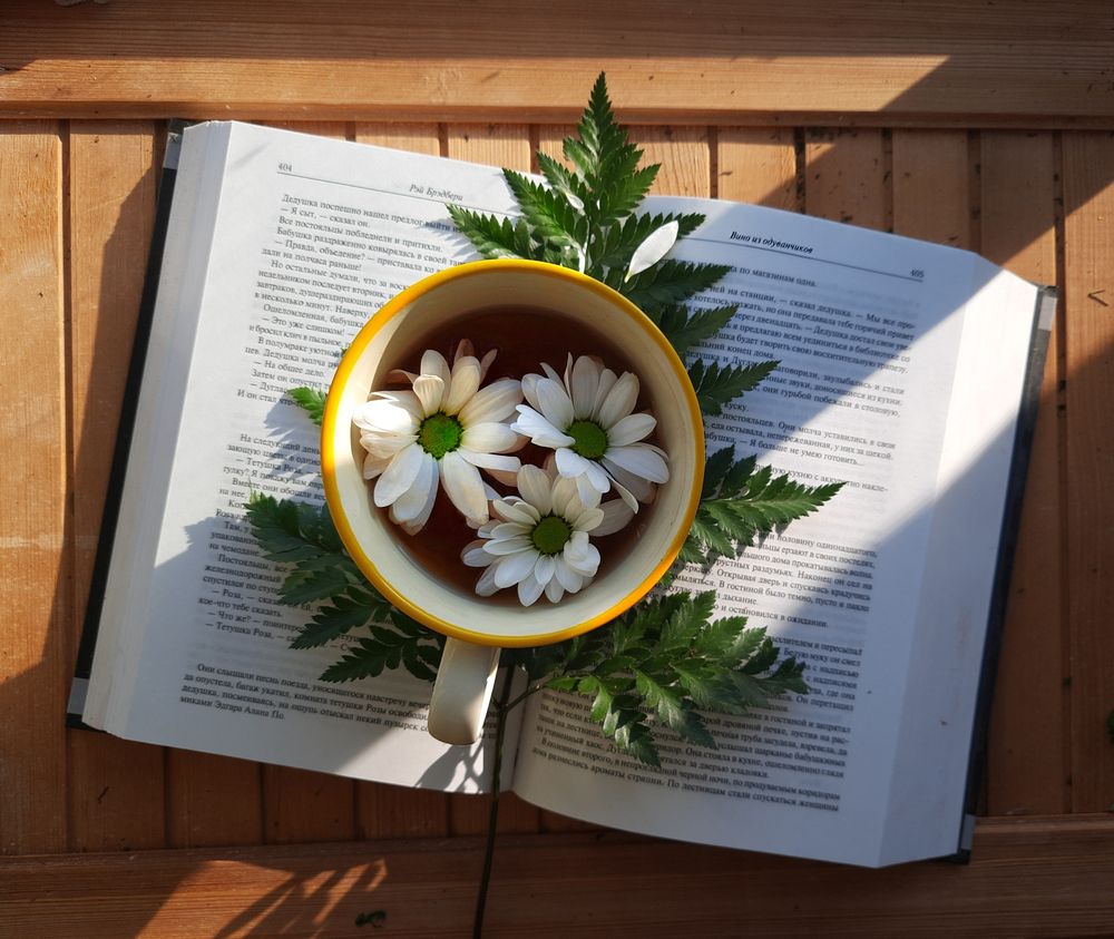 Ромашковый чай