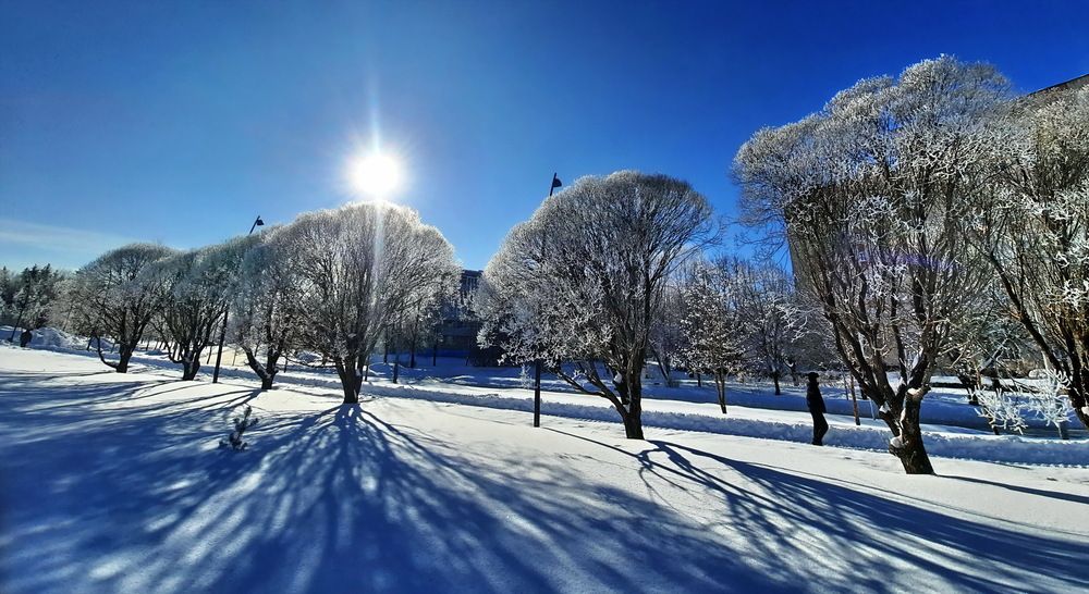 Photograph by Александр Лазебник