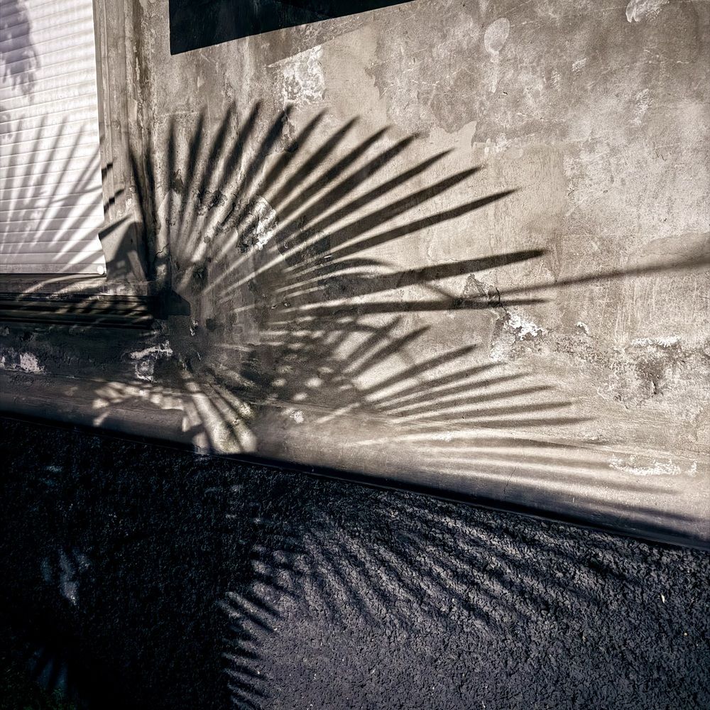 Photograph by Светлана Кашурникова