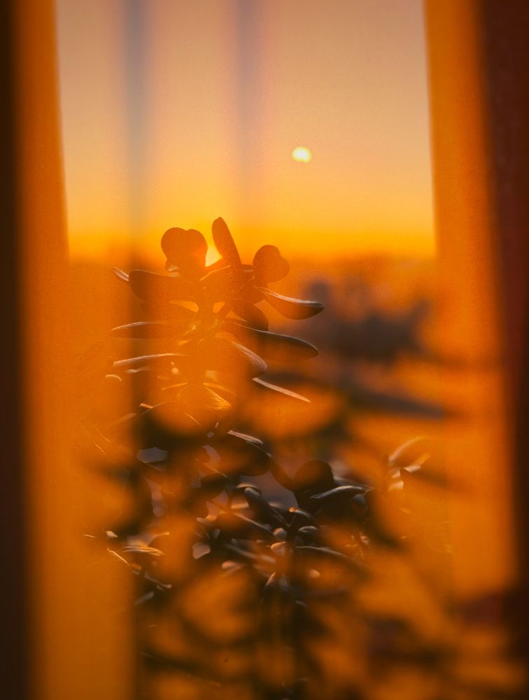 Photograph by Елена Рябова