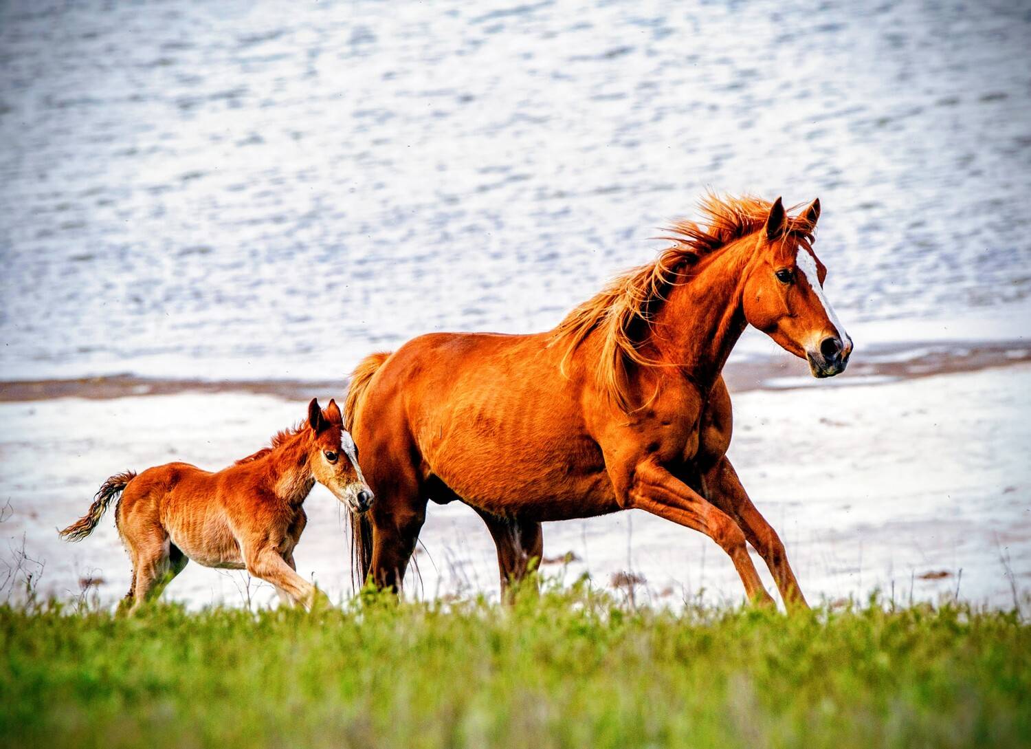 Фотография #13471058