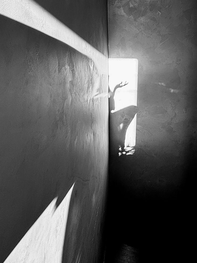 Photograph by Жанна Колесникова