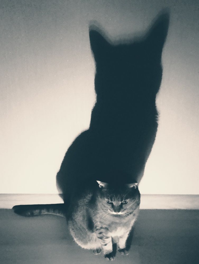 Photograph by Ия Дирко
