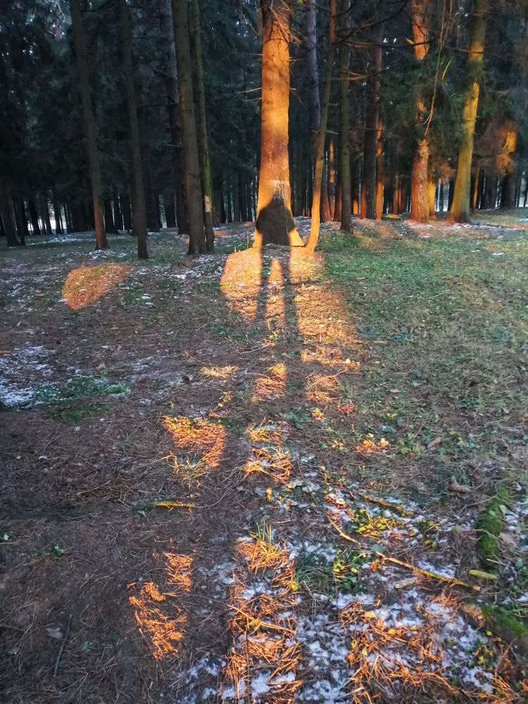Photograph by Борис Журавлёв